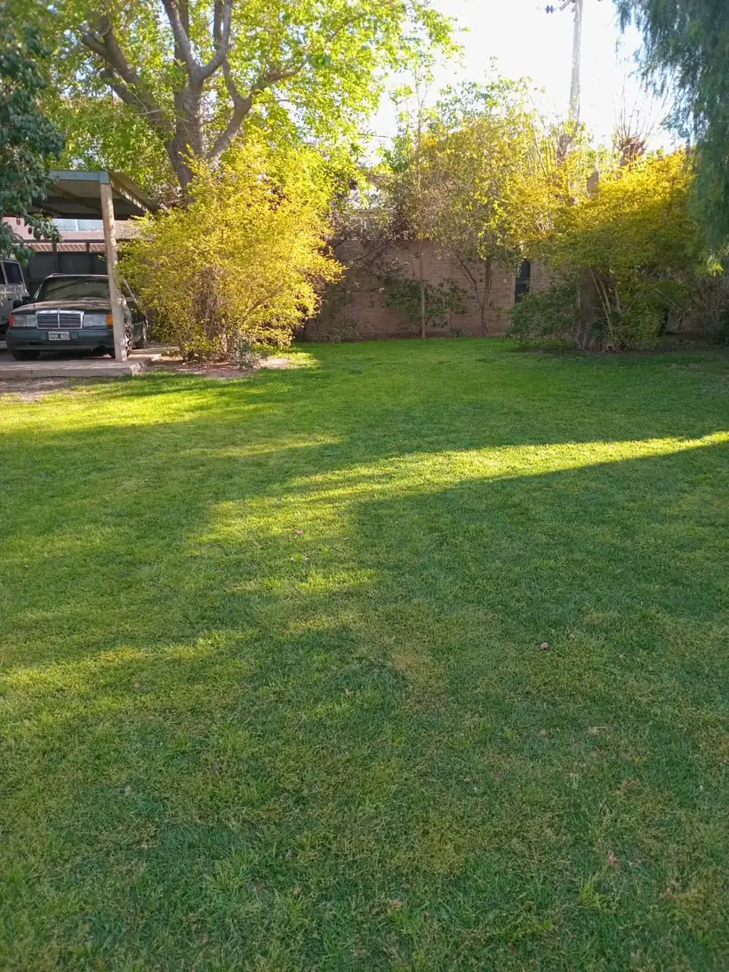 Jardín de otro cliente antes de la asesoría: césped ralo, con zonas peladas y color desparejo.